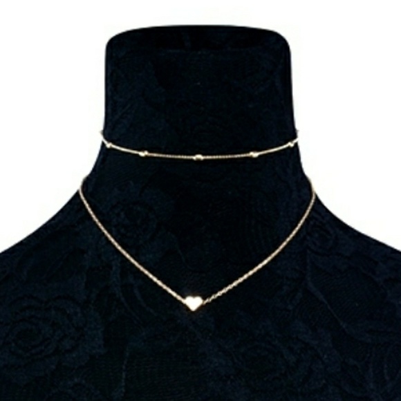 🌸HP! Any 4/$20! Double strand 2 pc heart necklace - Picture 2 of 4